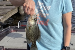 March Crappie